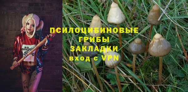 индика Зеленокумск