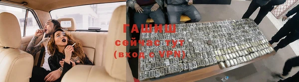 индика Зеленокумск