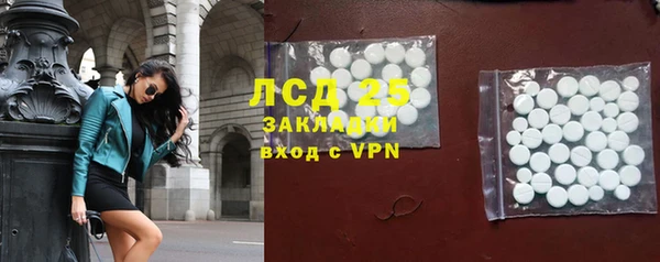 индика Зеленокумск
