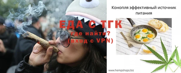индика Зеленокумск