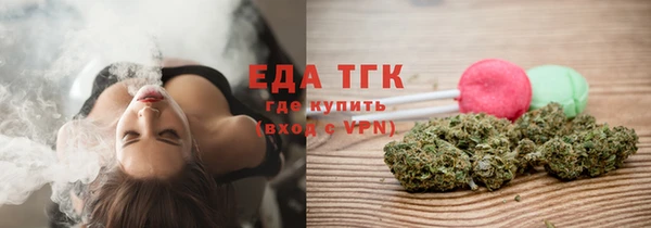 индика Зеленокумск
