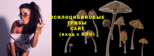 дурь Зеленодольск