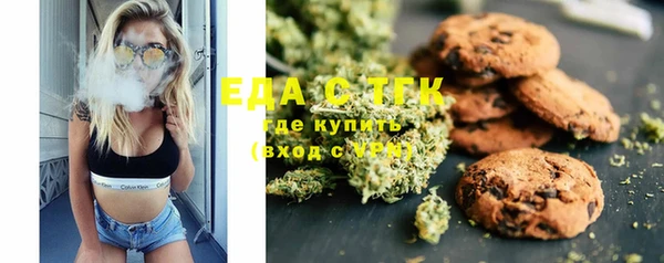 индика Зеленокумск