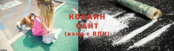 индика Зеленокумск