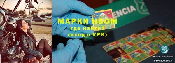 индика Зеленокумск