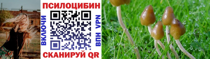 Псилоцибиновые грибы мухоморы  Купить  Карачев 